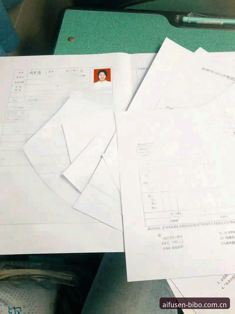 BIBO官网入口 BIBO官网入口最新动态:2025版本技术评测与注册指南深度解析